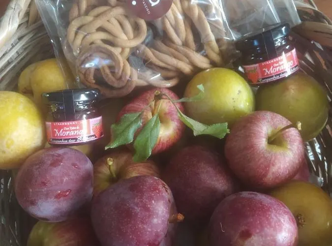 Casa De Guadalupe * Redouca